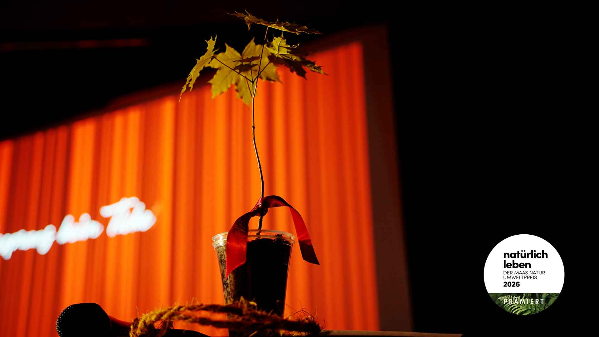 "Tree to go" bei der Umweltpreis-Gala zum Maas Natur Umweltpreis 2026