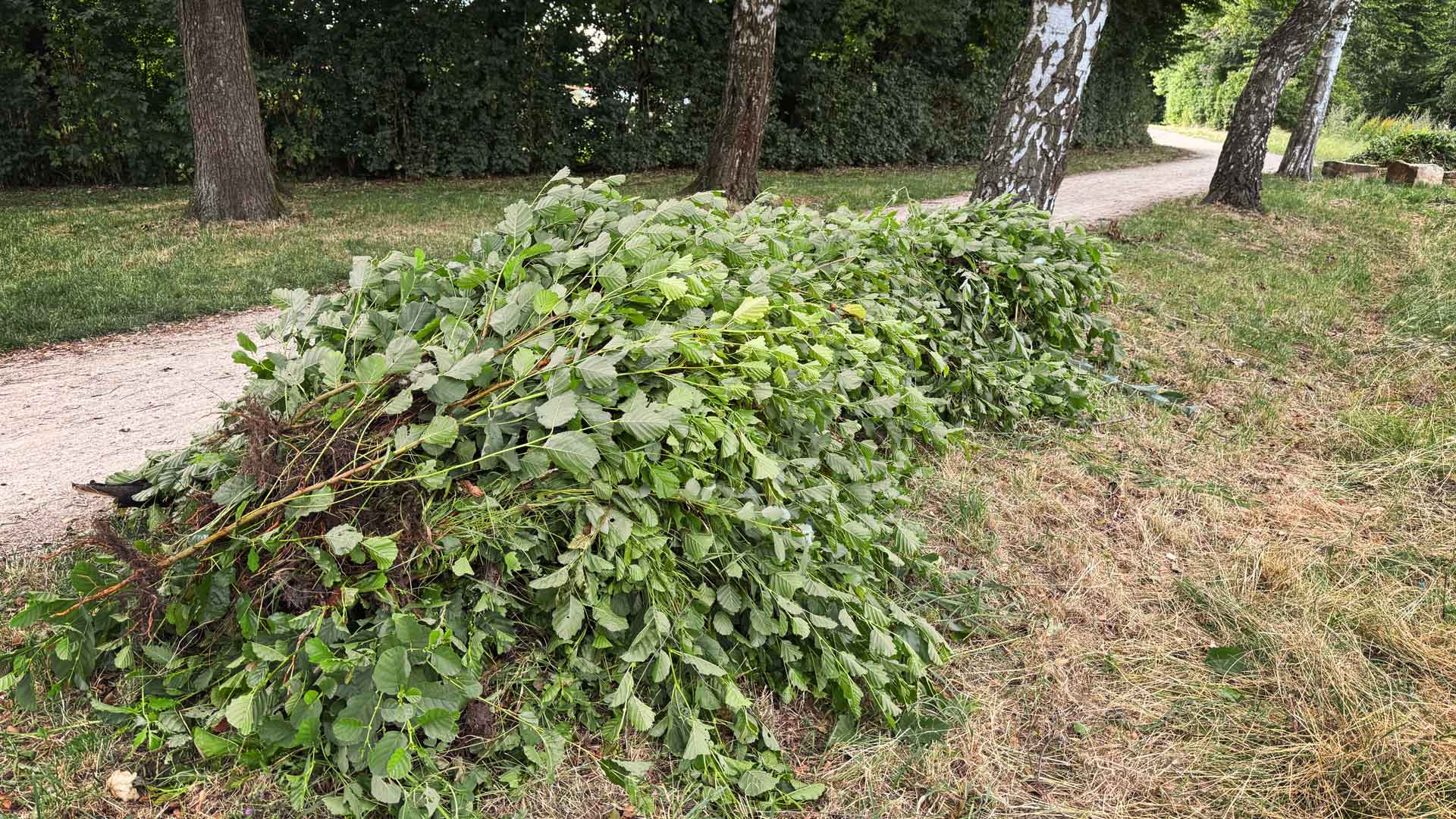 Haufen am Wegesrand