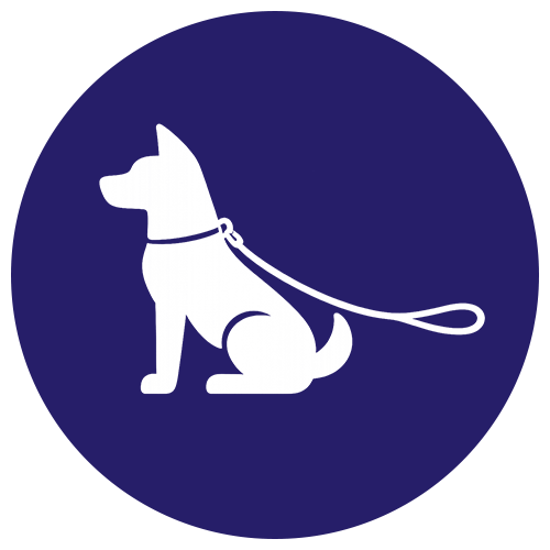 Hund an der Leine